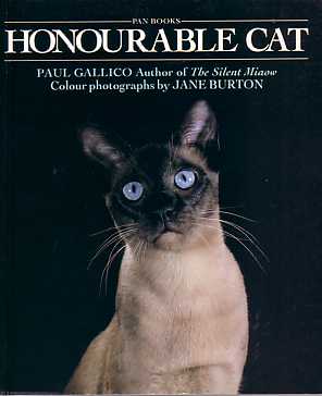 honourable cat p/b
